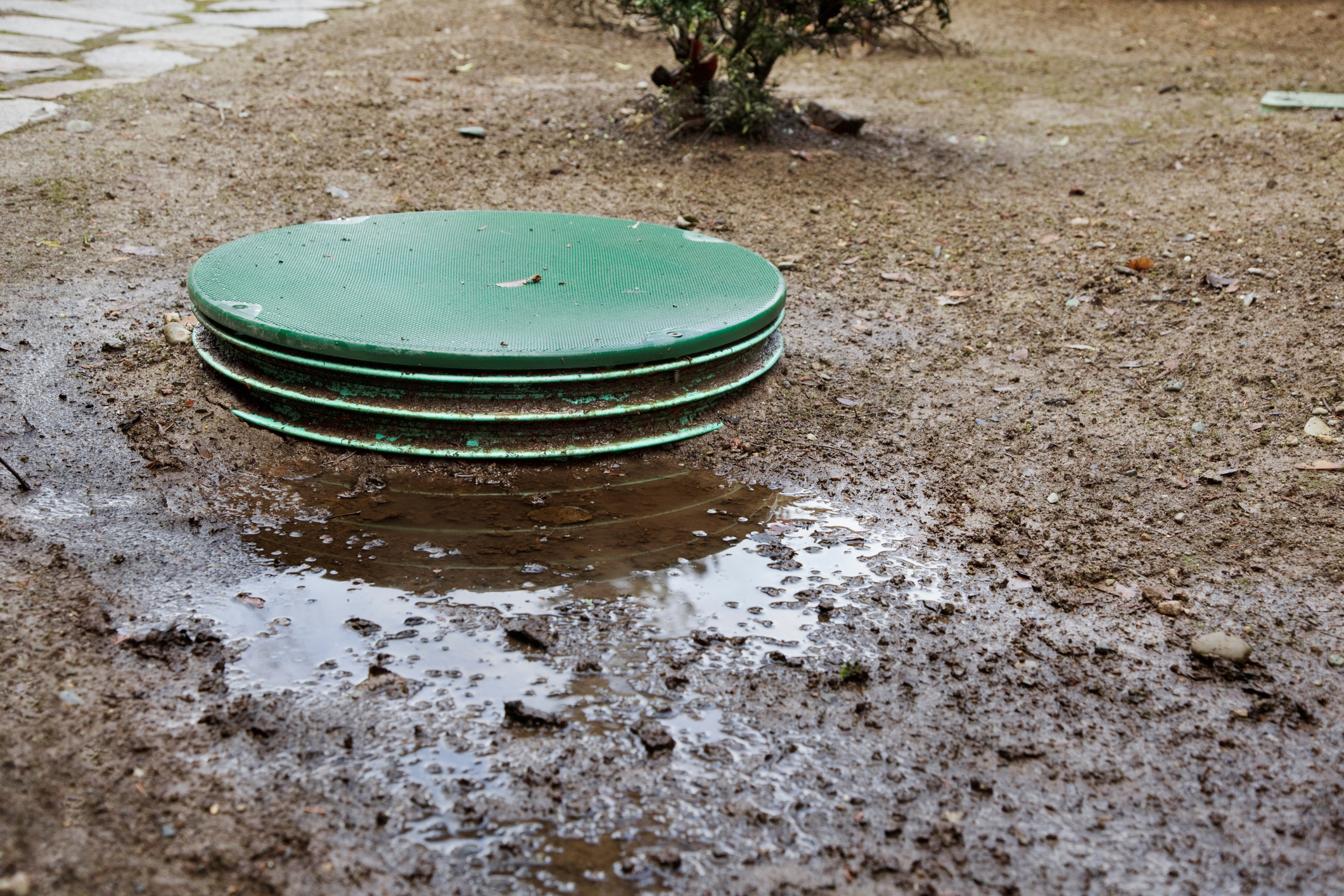 Septic system problems Emergency septic repair example, showing a drain field covered in a puddle of water