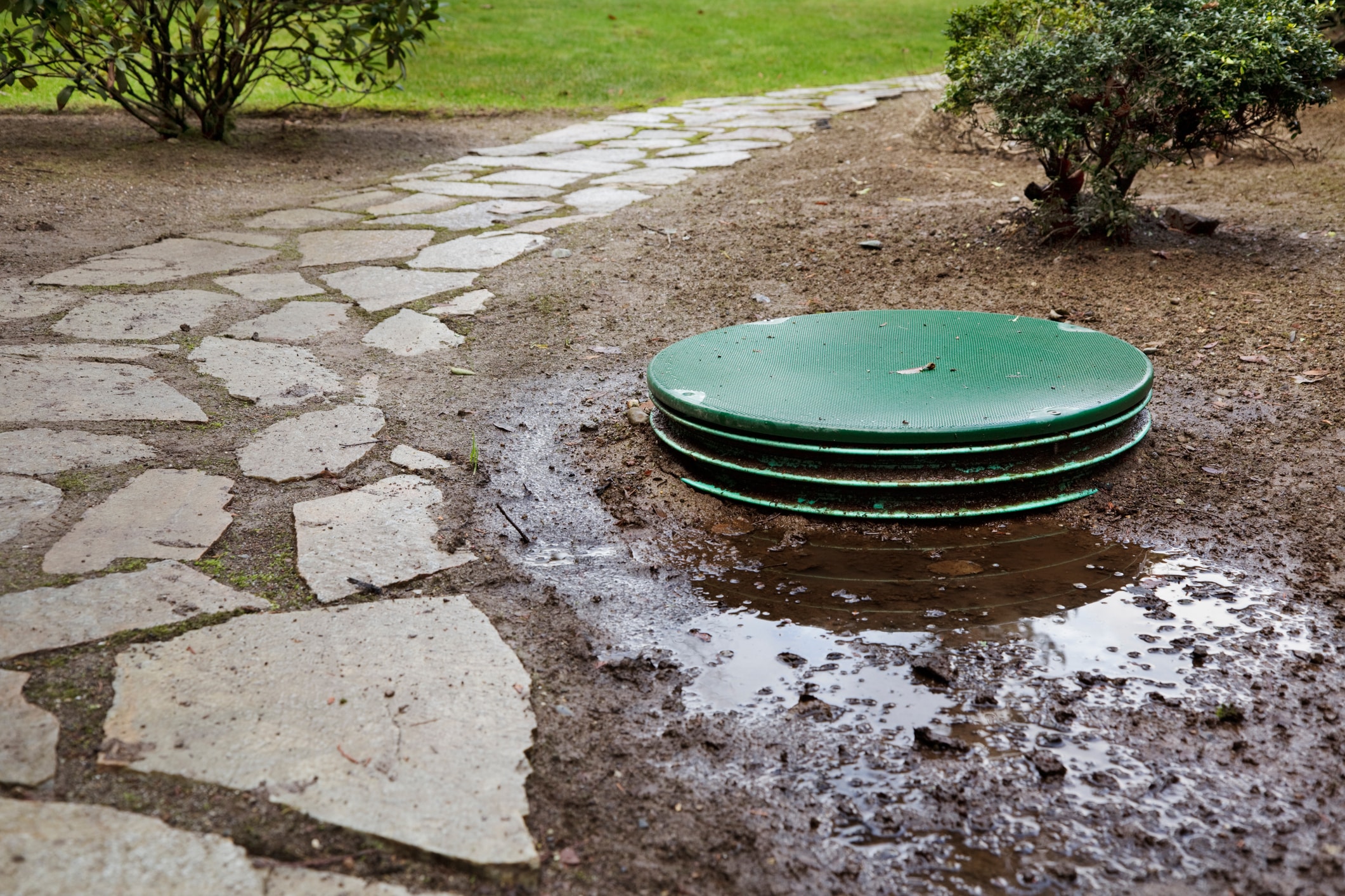 Septic system problems Emergency septic repair example, showing septic water pooling on drain field