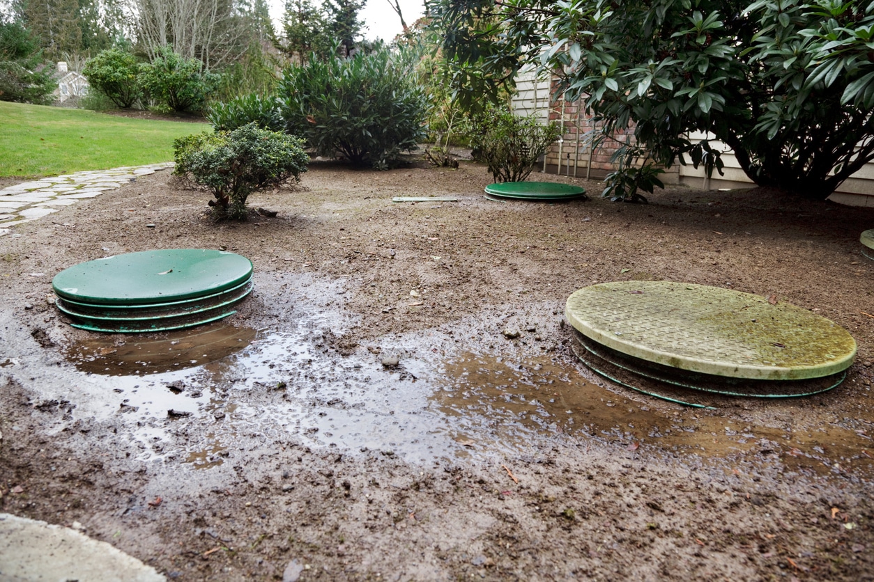 Septic system problems Drain field flooding around septic tank